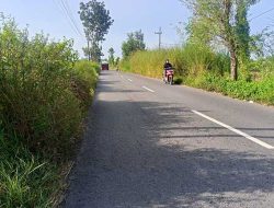 Jalan Sumobito–Betek–Mojoagung Bak Hutan Belantara, Kinerja PUPR Jombang Dinanti