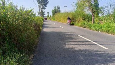 Jalan Sumobito–Betek–Mojoagung Bak Hutan Belantara, Kinerja PUPR Jombang Dinanti