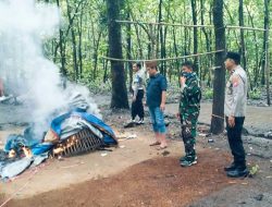 Polisi dan TNI Gerebek Judi Sabung Ayam di Jombang, Pelaku Kerap “Kucing-kucingan”