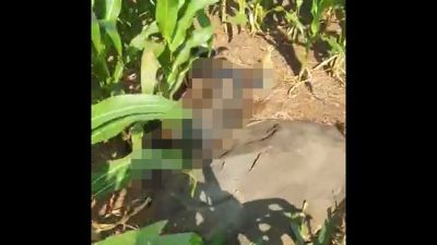 temuan mayat di sumberjo wonosalam jombang 1