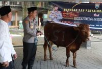 Kapolres Jombang menyerahkan sapi kurban bantuan dari Kapolda Jatim di dua Ponpes di Jombang.