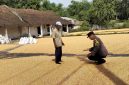 Bhabinkamtibmas Desa Ngampungan, Kecamatan Bareng, Kabupaten Jombang, Aipda Supardi, yang ikut membantu petani menjemur hasil panen jagung, Selasa (2/6/2026).